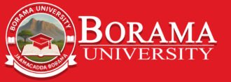 boramauniversity.com