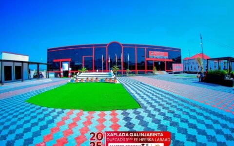 550539405_810459084662234_8067777353691059150_n (1)