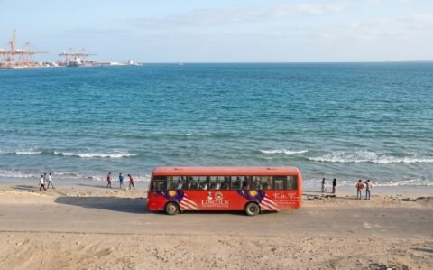 Generated Image April 08, 2026 - 4_19PM